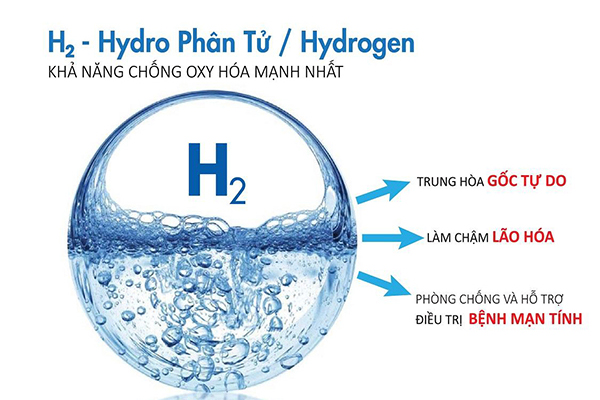 hydro phân tử